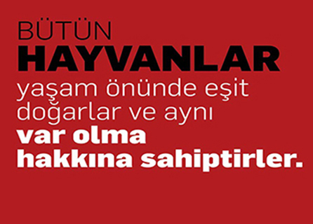Clinic Animal Veteriner Kliniği