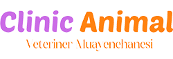 Clinic Animal Veteriner Kliniği