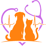 Clinic Animal Veteriner Kliniği